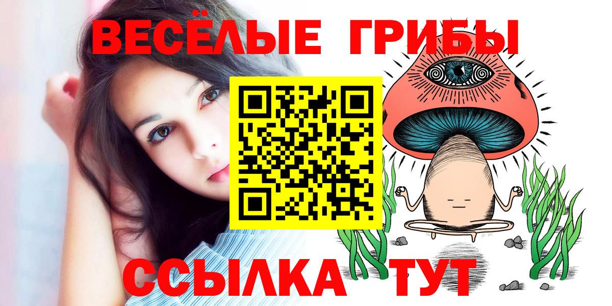 Галлюциногенные грибы мухоморы  как найти   Клинцы  Вход с VPN 