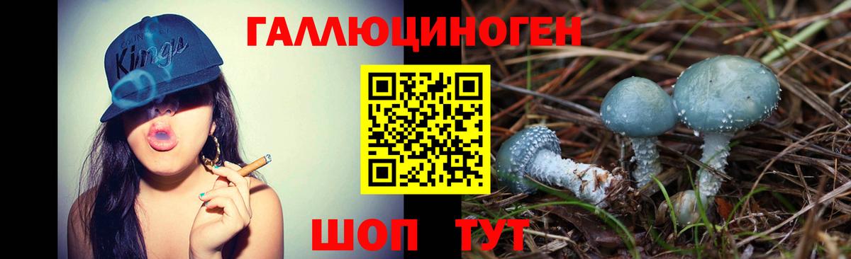 Галлюциногенные грибы MAGIC MUSHROOMS Клинцы